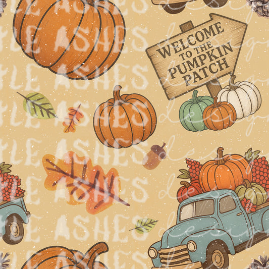 Take me to the pumpkin patch