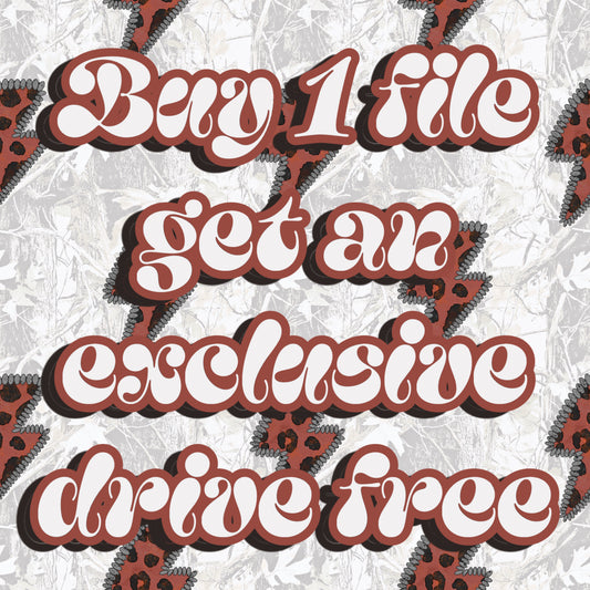 Buy 1 file get an exclusive drive free