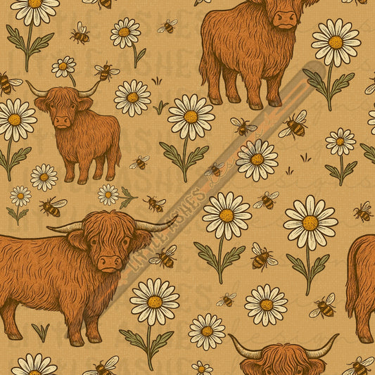 Highland cows and daises