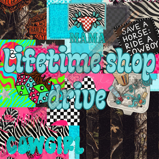 Lifetime shop drive